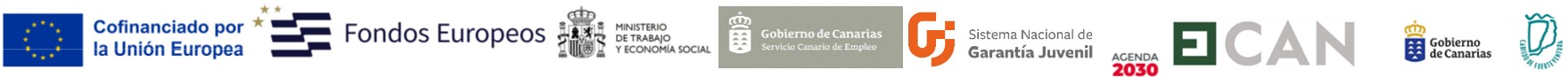 Tira de logos financiación del proyecto