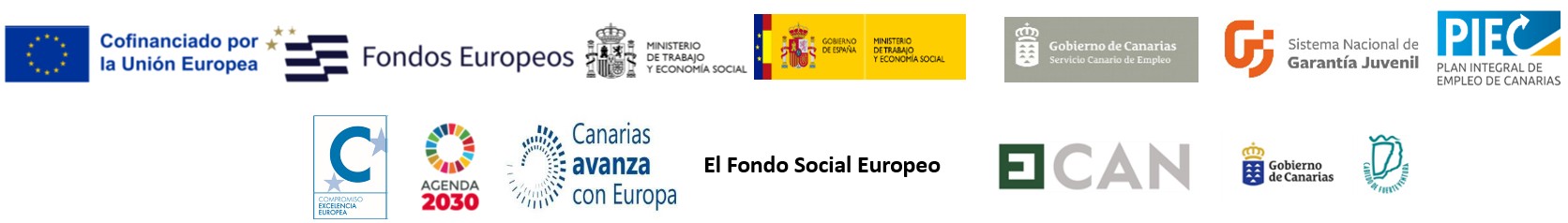 Tira de logos financiación del proyecto