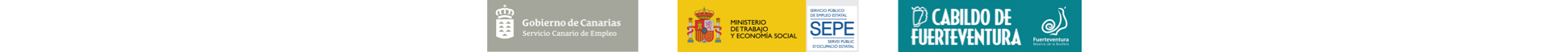Tira de logos financiación del proyecto