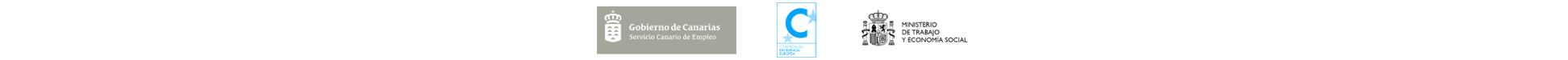 Tira de logos financiación del proyecto