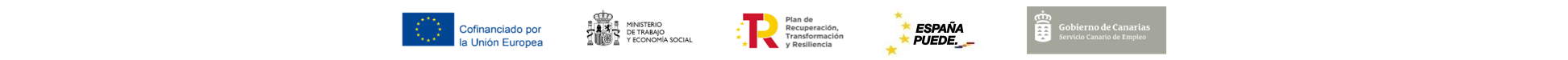 Tira de logos financiación del proyecto