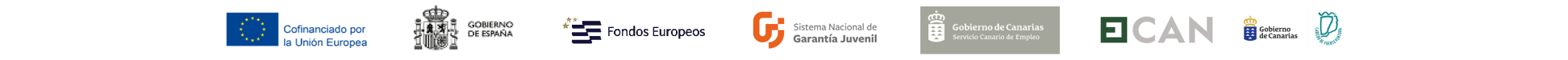 Tira de logos financiación del proyecto
