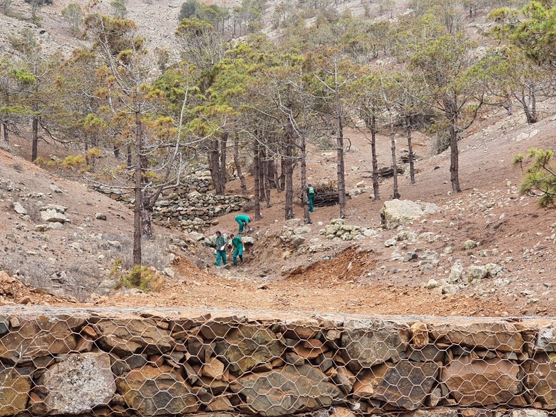 obra_castillo_lara