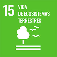 15_icono_ods
