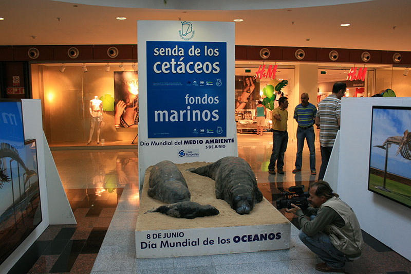 imagen_dia_conmemorativo